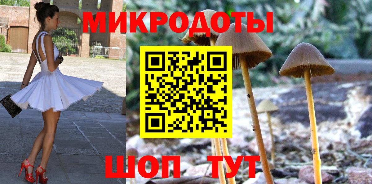 Псилоцибиновые грибы Magic Shrooms Можга